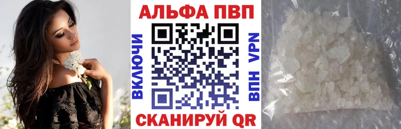 APVP СК  Великий Новгород 