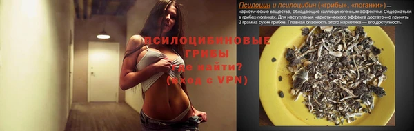 стафф Абаза