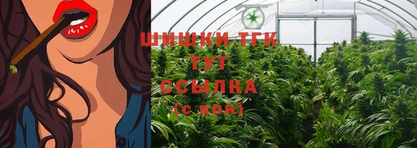 стафф Абаза