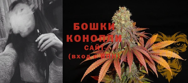 стафф Абаза