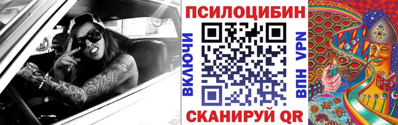продажа наркотиков  Великий Новгород  Псилоцибиновые грибы GOLDEN TEACHER 