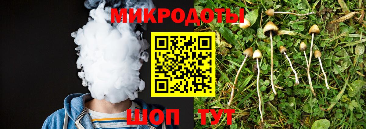 Галлюциногенные грибы мицелий Великий Новгород